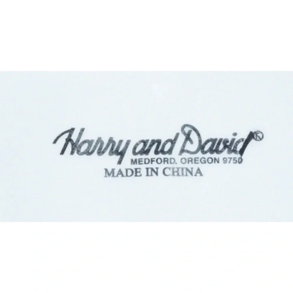 Harry and David Christmas Holiday Snowman Platter